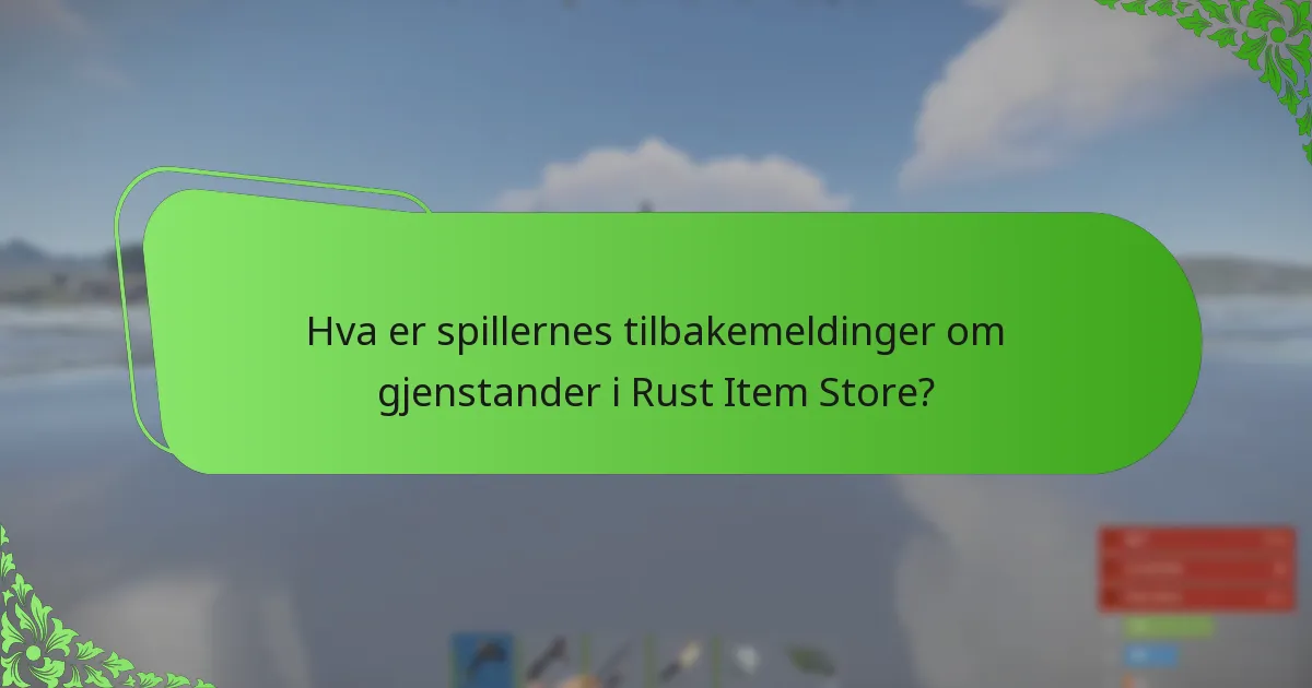 Hva er spillernes tilbakemeldinger om gjenstander i Rust Item Store?
